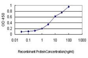 anti-Chemokine (C-X3-C Motif) Ligand 1 (CX3CL1) (AA 26-135) antibody