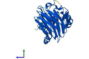AlphaFold protein structure predicition of Mouse Recombinant Haao Protein, UniprotID Q78JT3