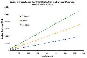 Bioactivity measured with Activity Assay