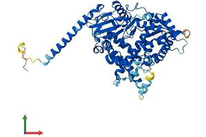 AlphaFold protein structure predicition of Human Recombinant CYP4F11 Protein, UniprotID Q9HBI6