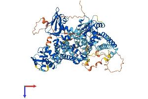 AlphaFold protein structure predicition of Mouse Recombinant Rapgef3 Protein, UniprotID Q8VCC8