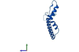 AlphaFold protein structure predicition of Mouse Recombinant Mrps21 Protein, UniprotID P58059