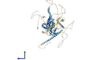 AlphaFold protein structure predicition of Human Recombinant PPFIA4 Protein, UniprotID O75335
