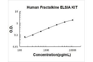 Chemokine (C-X3-C Motif) Ligand 1 (CX3CL1) ELISA Kit