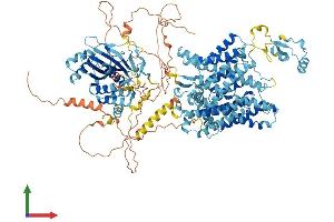 AlphaFold protein structure predicition of Mouse Recombinant Slc4a10 Protein, UniprotID Q5DTL9