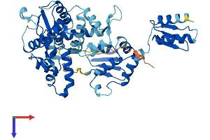 AlphaFold protein structure predicition of Human Recombinant GTF2H4 Protein, UniprotID Q92759