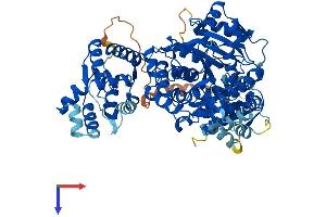 AlphaFold protein structure predicition of Mouse Recombinant Thnsl1 Protein, UniprotID Q8BH55
