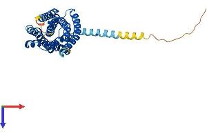 AlphaFold protein structure predicition of Human Recombinant FFAR2 Protein, UniprotID O15552