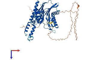 AlphaFold protein structure predicition of Human Recombinant TAB1 Protein, UniprotID Q15750