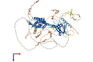 AlphaFold protein structure predicition of Human Recombinant ARHGEF15 Protein, UniprotID O94989
