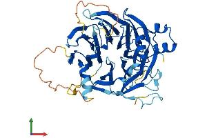 AlphaFold protein structure predicition of Human Recombinant WSB1 Protein, UniprotID Q9Y6I7