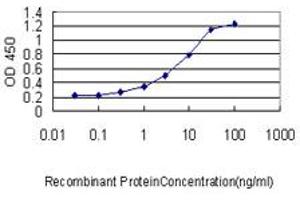 Detection limit for recombinant GST tagged CMTM5 is approximately 0.