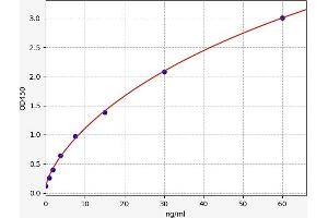 Typical standard curve (ISR-beta Kit ELISA)