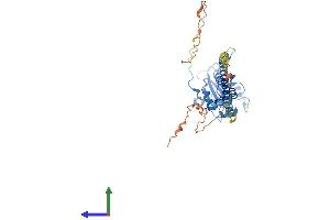 AlphaFold protein structure predicition of Human Recombinant PCYT1A Protein, UniprotID P49585