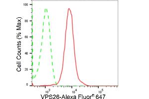 Flow cytometric analysis of VPS26 expression in HepG2 cells using VPS26 antibody (ABIN7800816), 1:2,000). (Recombinant VPS26A anticorps)