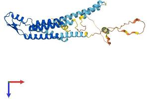AlphaFold protein structure predicition of Mouse Recombinant Gja4 Protein, UniprotID P28235