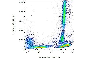 Flow cytometry analysis (surface staining) of human peripheral blood with anti-CD43 (MEM-59) biotin / streptavidin-APC.