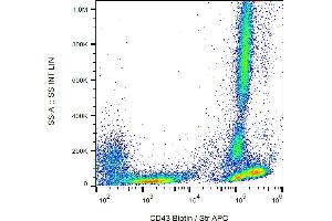 Flow cytometry analysis (surface staining) of human peripheral blood with anti-CD43 (MEM-59) biotin / streptavidin-APC.
