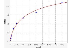Netrin 1 (NTN1) ELISA Kit