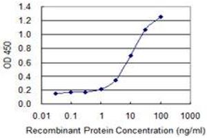 Detection limit for recombinant GST tagged CACNA2D2 is 0.