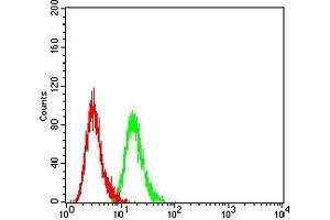 Flow cytometric analysis of Hela cells using PAX2 mouse mAb (green) and negative control (red).