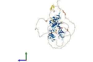 AlphaFold protein structure predicition of Human Recombinant ABLIM2 Protein, UniprotID Q6H8Q1