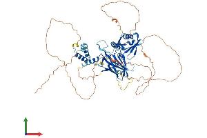 AlphaFold protein structure predicition of Mouse Recombinant Grhl1 Protein, UniprotID Q921D9
