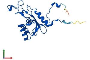 AlphaFold protein structure predicition of Mouse Recombinant Dctd Protein, UniprotID Q8K2D6