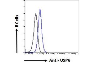 ABIN1019674 Flow cytometric analysis of paraformaldehyde fixed A431 cells (blue line), permeabilized with 0. (USP6 anticorps  (AA 142-155))