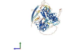 AlphaFold protein structure predicition of Human Recombinant SIPA1 Protein, UniprotID Q96FS4