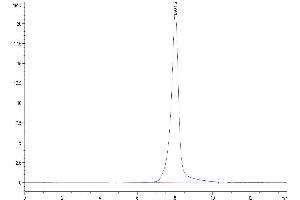 The purity of Biotinylated Human Her3/ErbB3 is greater than 95 % as determined by SEC-HPLC.
