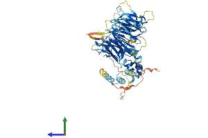 AlphaFold protein structure predicition of Human Recombinant FBXO24 Protein, UniprotID O75426