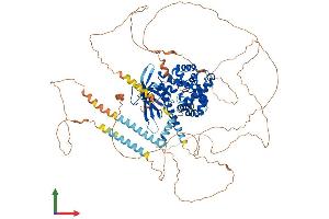 AlphaFold protein structure predicition of Mouse Recombinant Iqsec1 Protein, UniprotID Q8R0S2