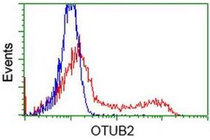Image no. 2 for anti-OTU Domain, Ubiquitin Aldehyde Binding 2 (OTUB2) antibody (ABIN1499939) (OTUB2 anticorps)