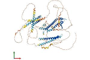 AlphaFold protein structure predicition of Mouse Recombinant Myrip Protein, UniprotID Q8K3I4
