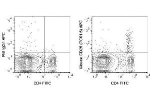 Flow Cytometry of Rat anti-MOUSE CD25 antibody Allophycocyanin conjugated.