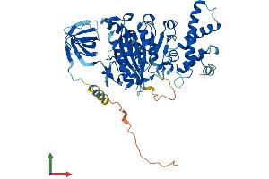 AlphaFold protein structure predicition of Human Recombinant ATP6V1B2 Protein, UniprotID P21281