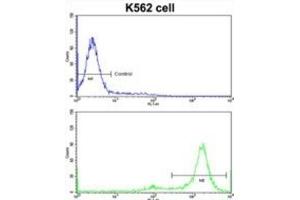 Flow Cytometry (FACS) image for anti-MDM2 Binding Protein (MTBP) antibody (ABIN3002735) (MTBP anticorps)