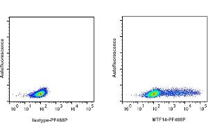 Detection of IFN-ү by flow cytometry in viable ferret spleen cells. (Interferon gamma anticorps  (PromoFluor-488 Premium))
