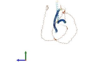 AlphaFold protein structure predicition of Human Recombinant KRT10 Protein, UniprotID P13645