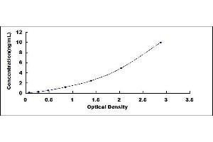 Uroplakin 3B (UPK3B) ELISA Kit