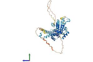 AlphaFold protein structure predicition of Mouse Recombinant Katna1 Protein, UniprotID Q9WV86