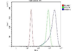 Flow Cytometry analysis of U20S cells using anti-RIMBP2 antibody (ABIN7601441). (RIMBP2 anticorps  (AA 351-1049))