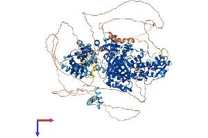 AlphaFold protein structure predicition of Human Recombinant KDM6A Protein, UniprotID O15550