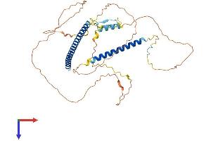 AlphaFold protein structure predicition of Human Recombinant TANK Protein, UniprotID Q92844