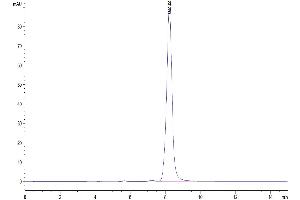 The purity of Mouse IL-20 is greater than 95 % as determined by SEC-HPLC.