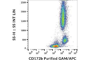 Flow cytometry analysis (surface staining) of human peripheral blood cells with anti-human CD172b (B4B6) purified, GAM-APC. (CD172b / SIRP beta anticorps)
