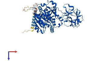 AlphaFold protein structure predicition of Human Recombinant GALNT4 Protein, UniprotID Q8N4A0