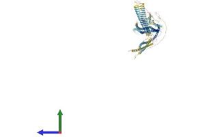 AlphaFold protein structure predicition of Human Recombinant RRBP1 Protein, UniprotID Q9P2E9
