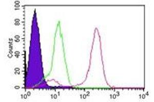 IKKgamma Flow Cytometry Flow Cytometry of Mouse Anti- IKKgamma antibody.